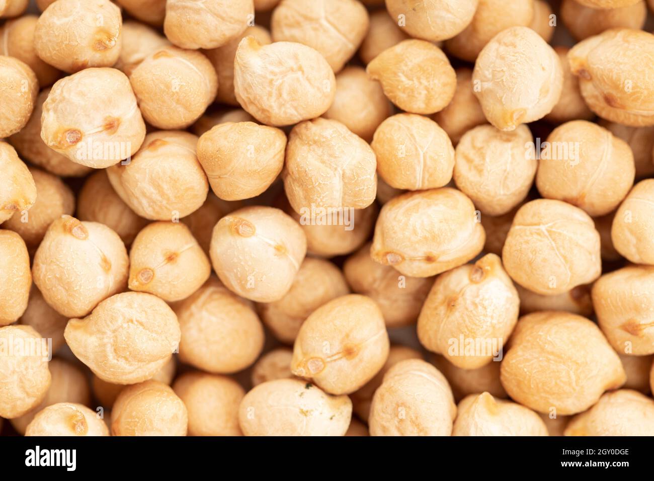 Uncooked chickpea background texture. Full frame Cicer arietinum Stock Photo