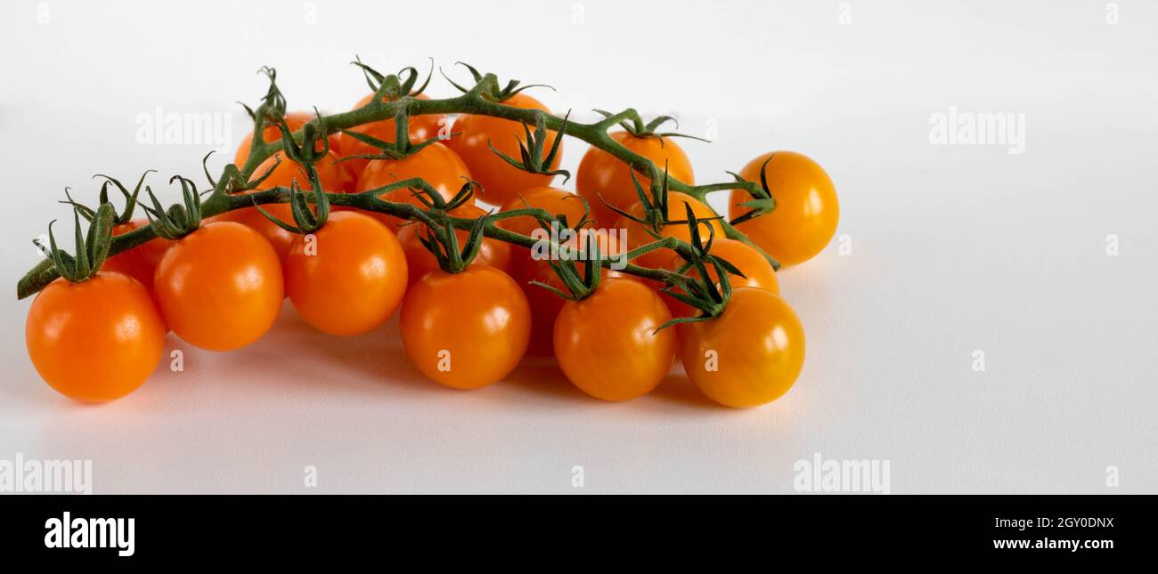 Ripe fresh orange Cherry tomatoes on a branch, isolated on a white background. Place for text. Stock Photo