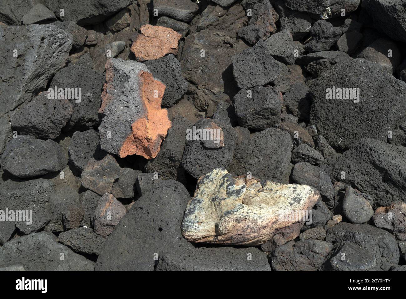 pico azores lava field by the sea detail close up Stock Photo - Alamy