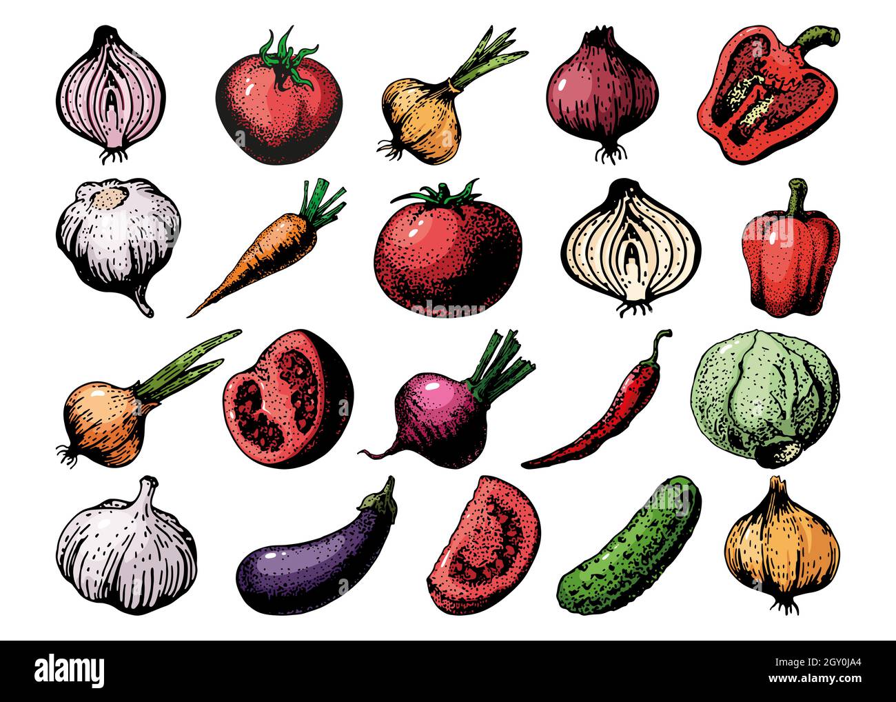 set of vegetables drawing sketch color, vector Stock Vector Image & Art