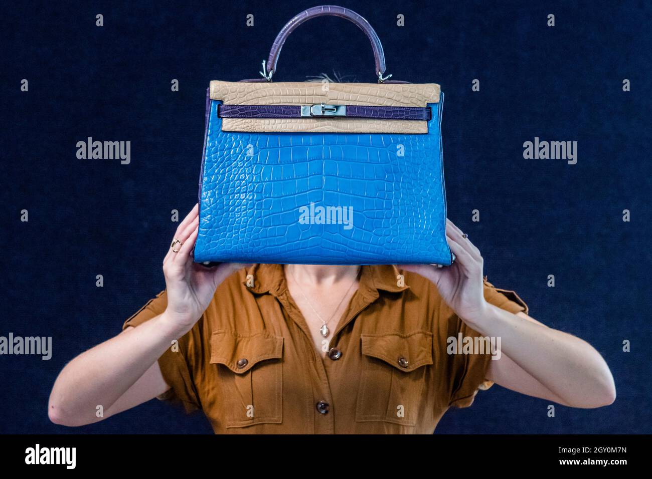 Hermes birkin alligator hi-res stock photography and images - Alamy