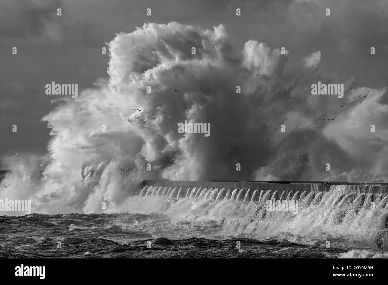 Big water splash Black and White Stock Photos & Images - Alamy