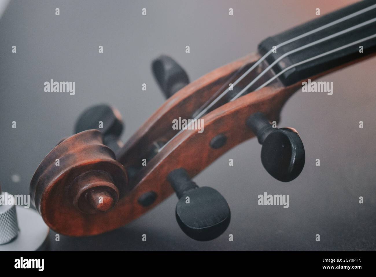Scenic view of a violin detail displayed at the Science and Technology