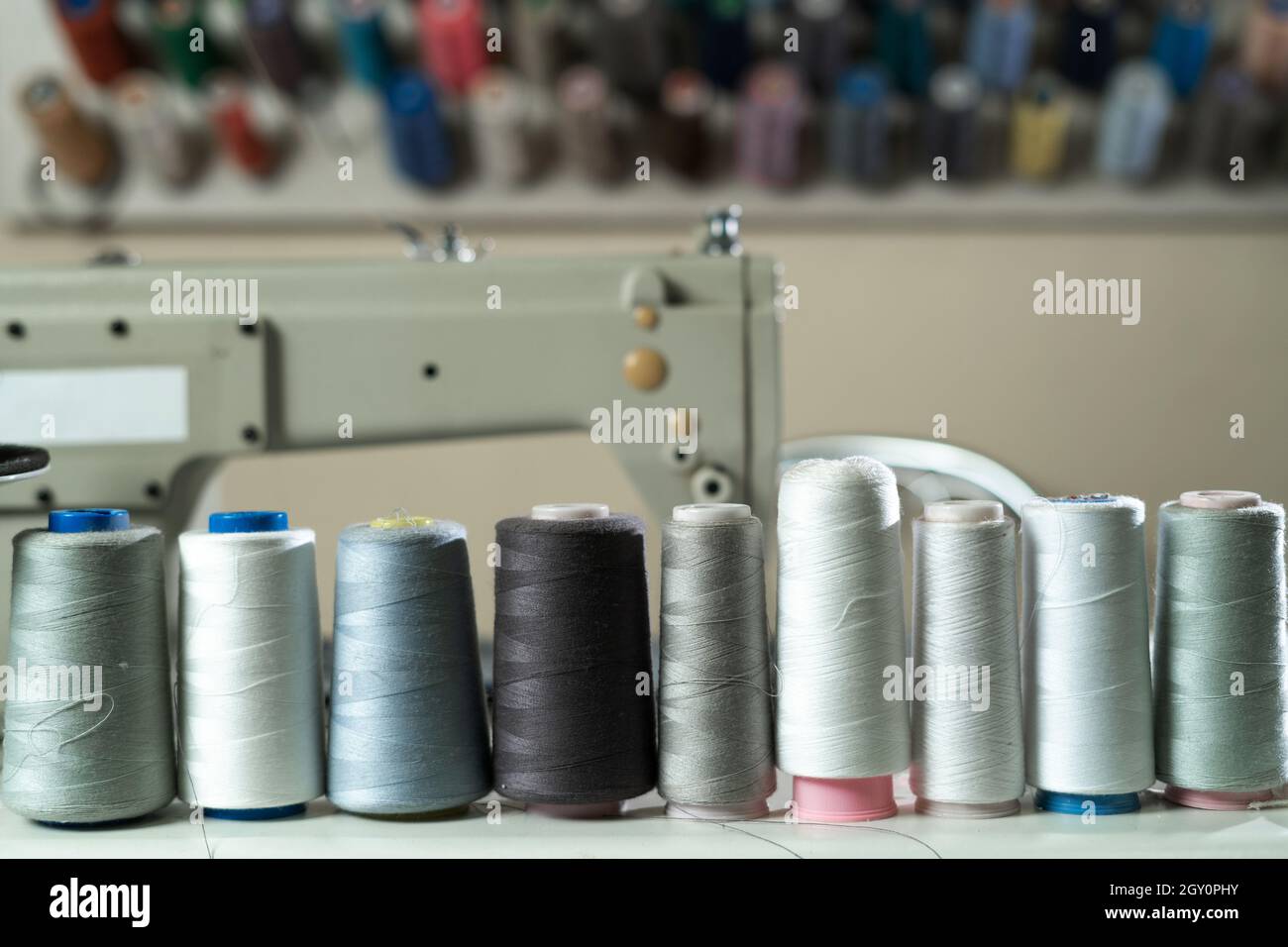 Several colored spools of thread for sewing and embroidery on a white wooden table. Stock Photo