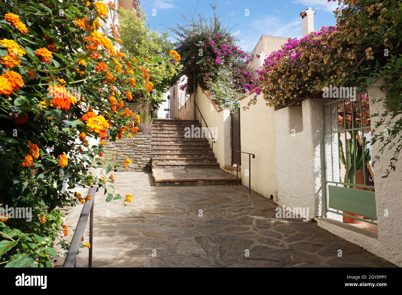 Street adorned with flowers in Mediterranean seaside town of Banyuls-sur-Mer, Pyrénées-Orientales  department, southern France Stock Photo