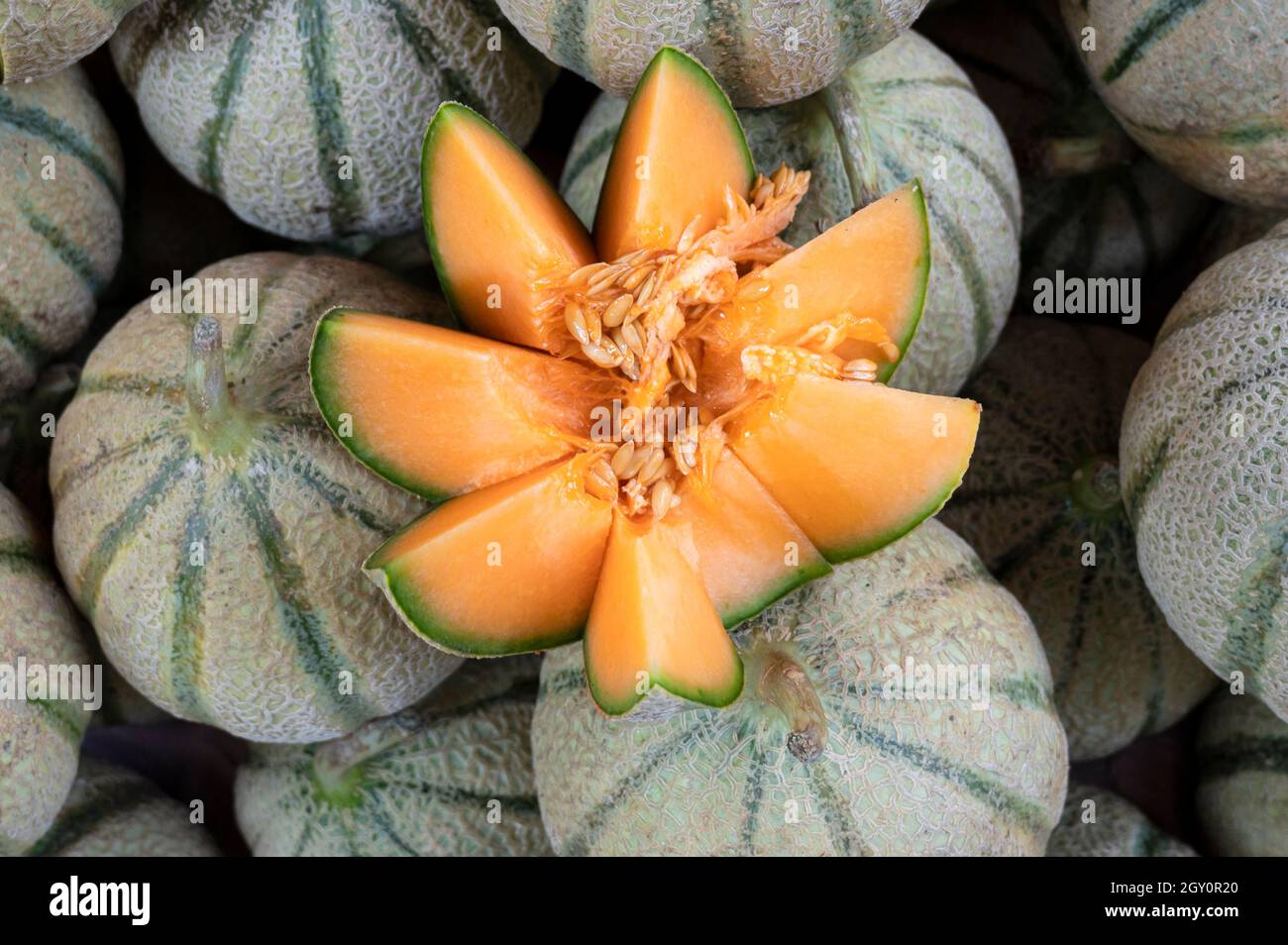 Cavaillon melon sold at a market stall on place Richelme in Aix-en-Provence, southern France Stock Photo