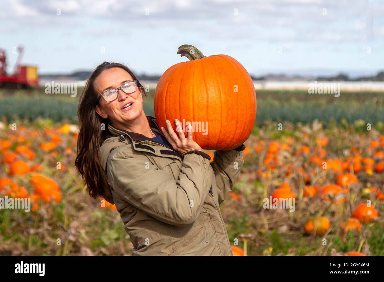 Hay bale emoji hires stock photography and images Alamy
