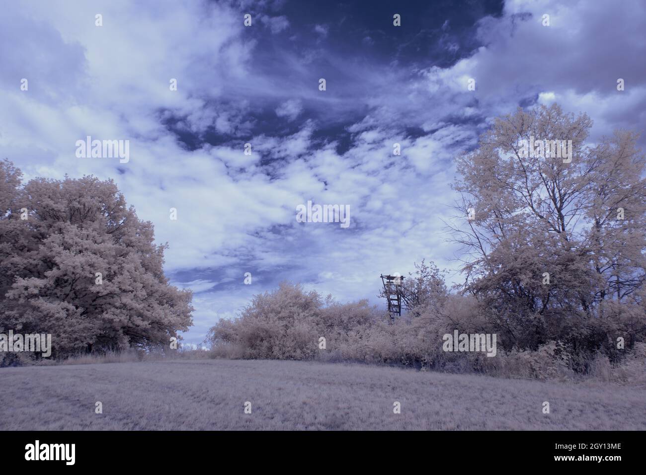 Infrared landscape with glowing white vegetation using 720nm filter ...