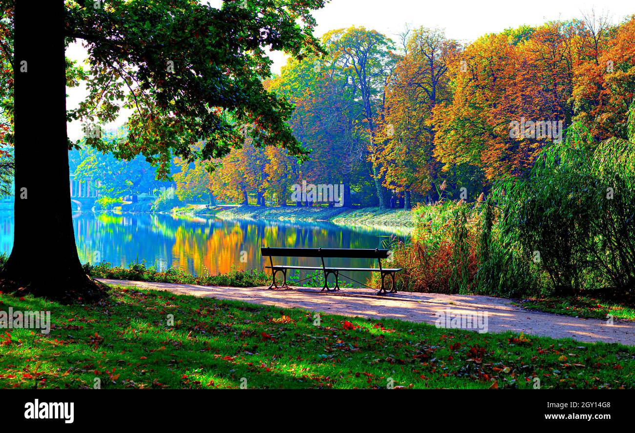 Lazienki gardens.Warszawa , photo .Wojciech Fondalinski Stock Photo - Alamy