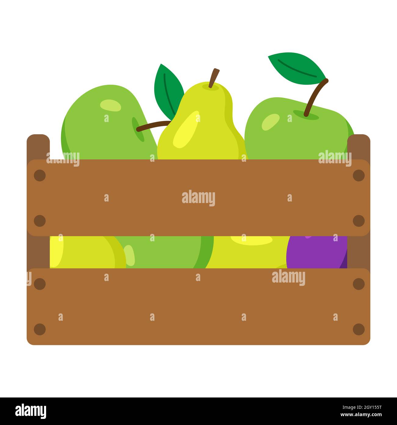 https://c8.alamy.com/comp/2GY155T/wooden-box-with-harvest-fruits-apples-pears-and-plums-in-it-farmers-harvest-crop-fresh-organic-fruits-food-for-vegan-and-good-nutrition-2GY155T.jpg