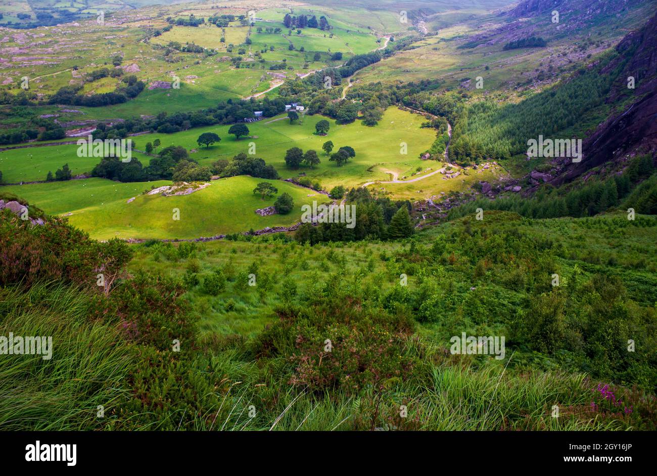 Image Of One Of Many Green Valleys In Caha Mountains County Cork image-of-one-of-many-green-valleys-in-caha-mountains-county-cork