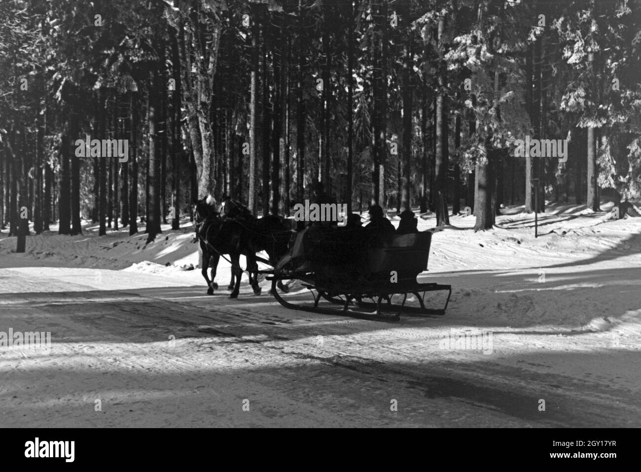 Winterliche Schlittenfahrt durch die zugeschneiten Wälder um Oberhof in Thüringen, Deutschland 1930er Jahre. Sliegh ride through the snowed in woods and forests around Oberhof in Thuringia, Germany 1930s. Stock Photo