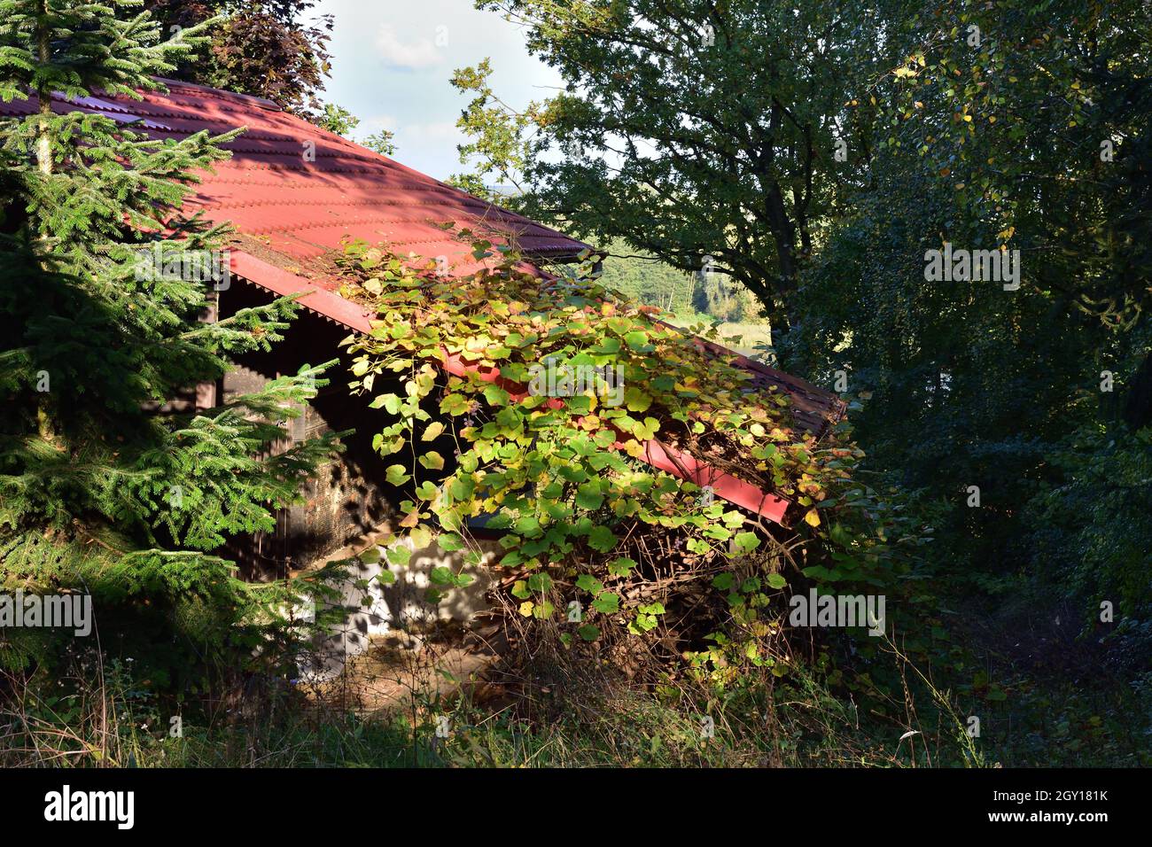 House among trees hires stock photography and images Alamy