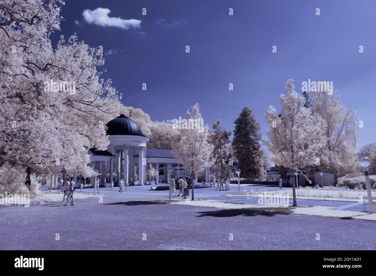 Infrared landscape with glowing white vegetation using 720nm filter ...