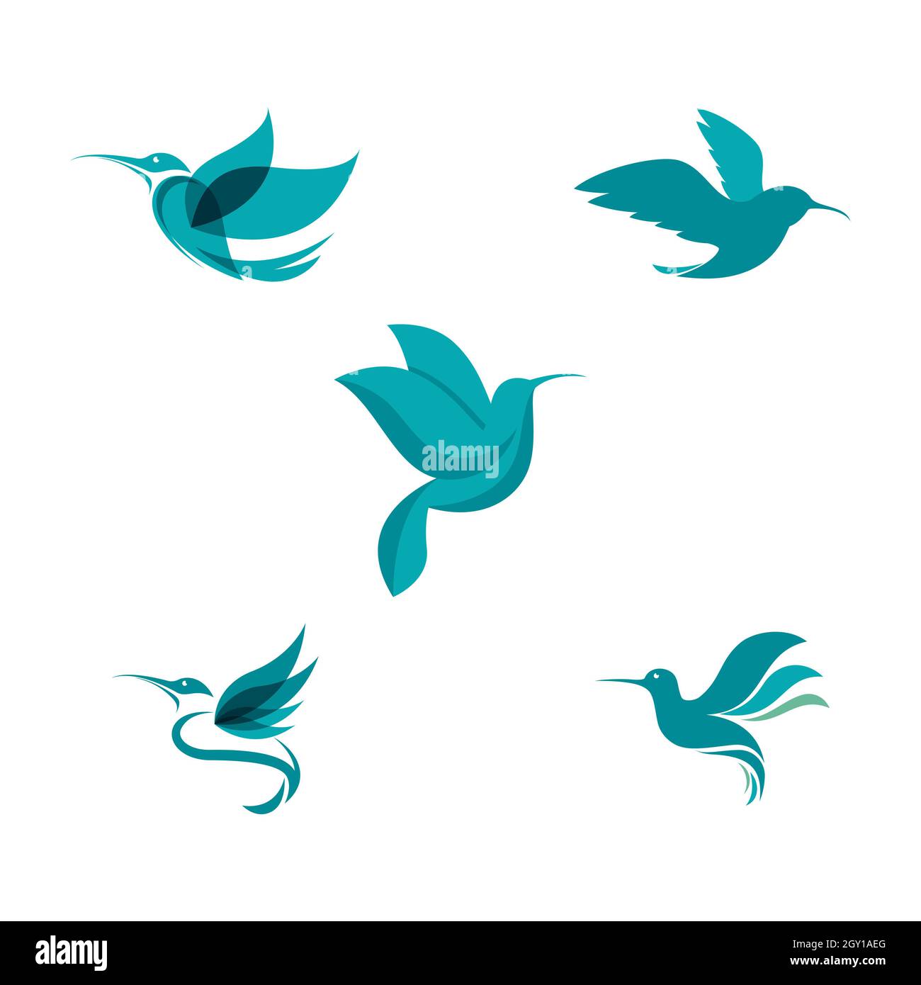 Humming bird Vector icon design illustration Template Stock Photo - Alamy