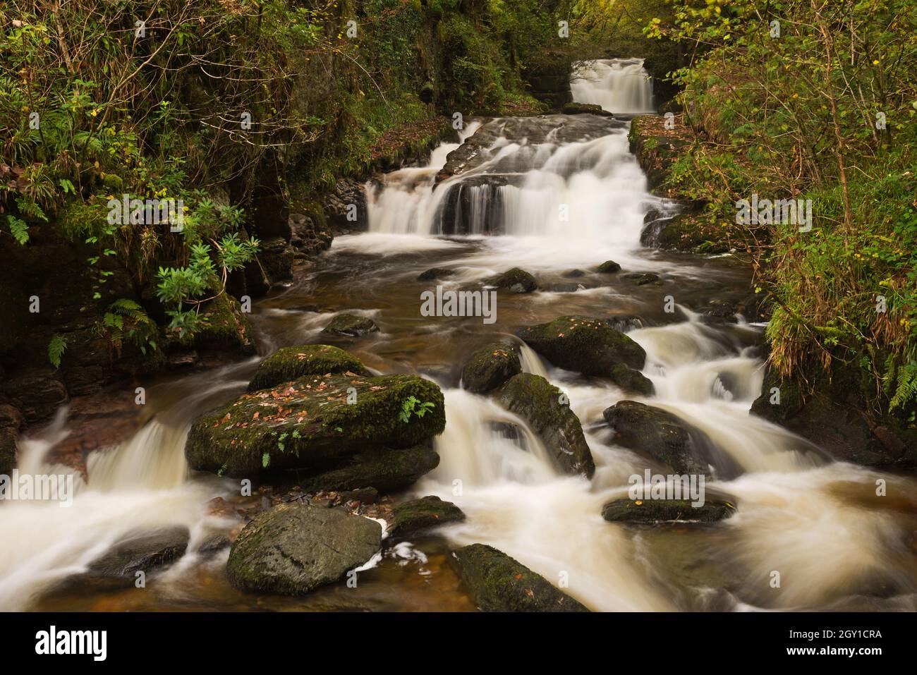 the waterfalls and fast flowing rivers at Watersmeet in the Lyn Valley not far from Lynmouth in Devon, England, UK. Part of the Exmoor national park Stock Photo