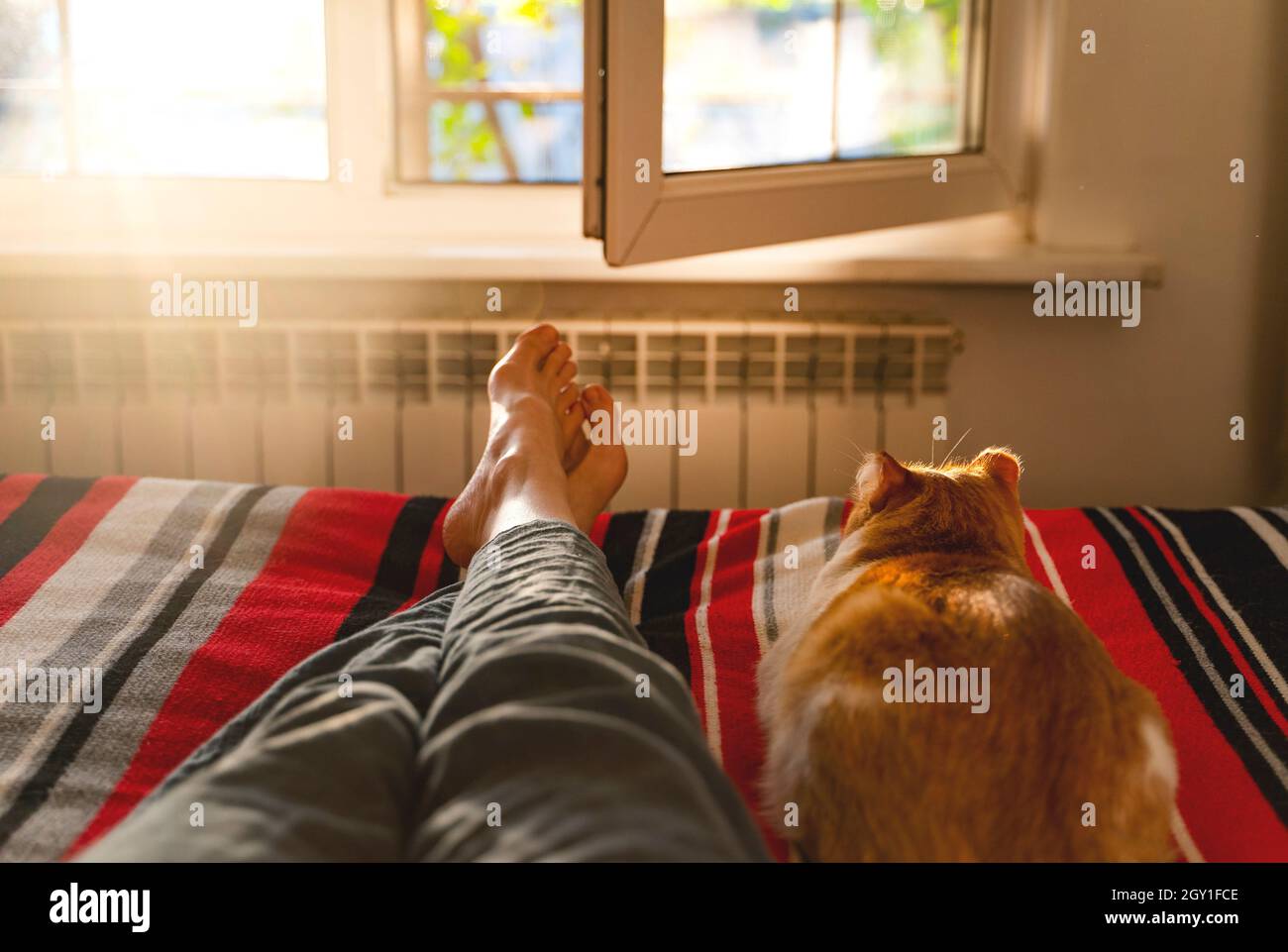lying and relaxing in bed with cat. Stock Photo
