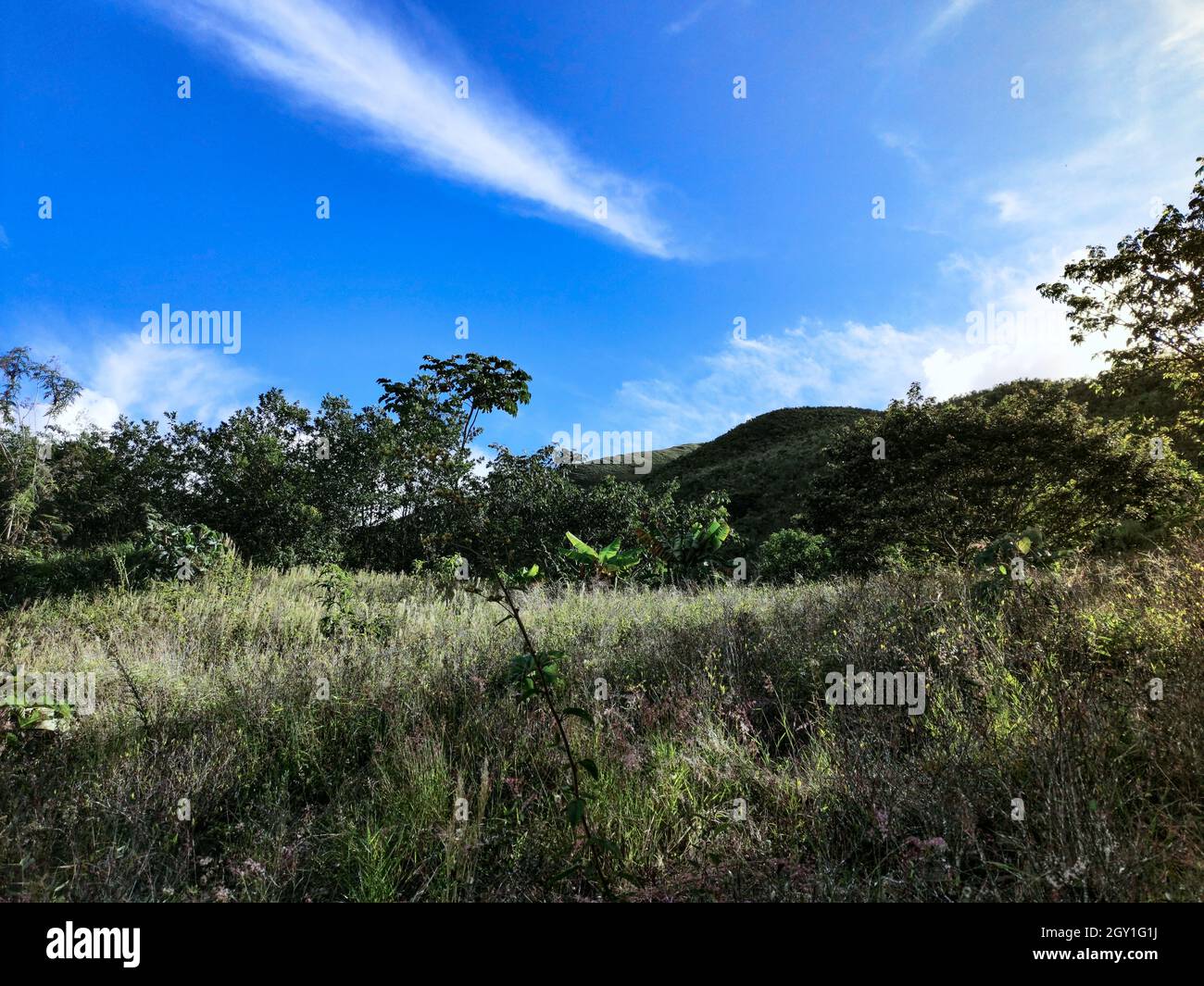 Los yungas la paz bolivia hi-res stock photography and images - Alamy