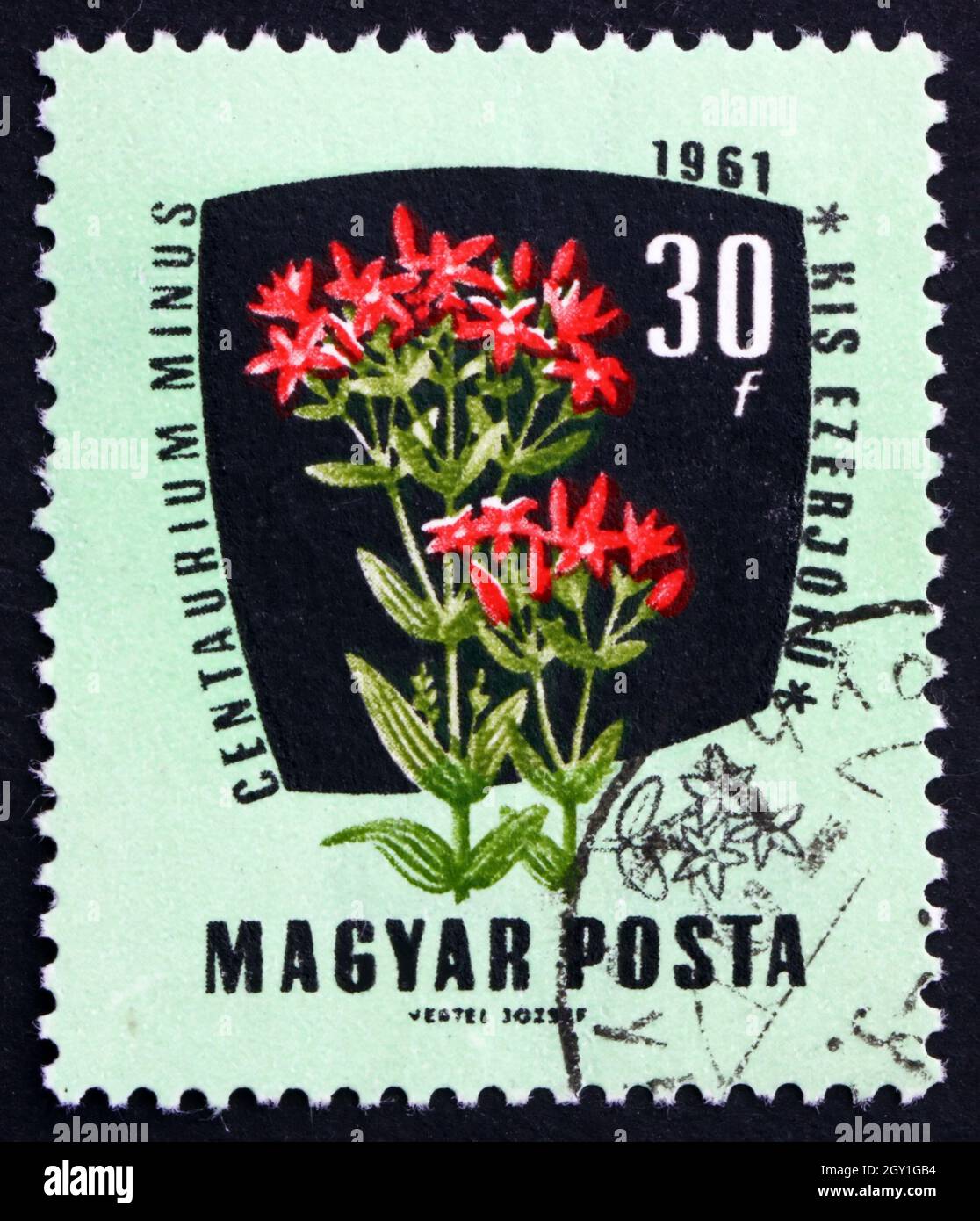 HUNGARY - CIRCA 1961: a stamp printed in the Hungary shows Common Centaury, Centaurium Erythraea, Medical Herb, circa 1961 Stock Photo