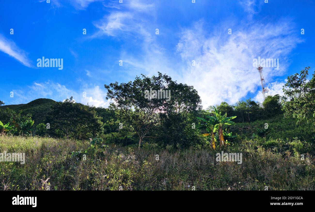 Los yungas la paz bolivia hi-res stock photography and images - Alamy