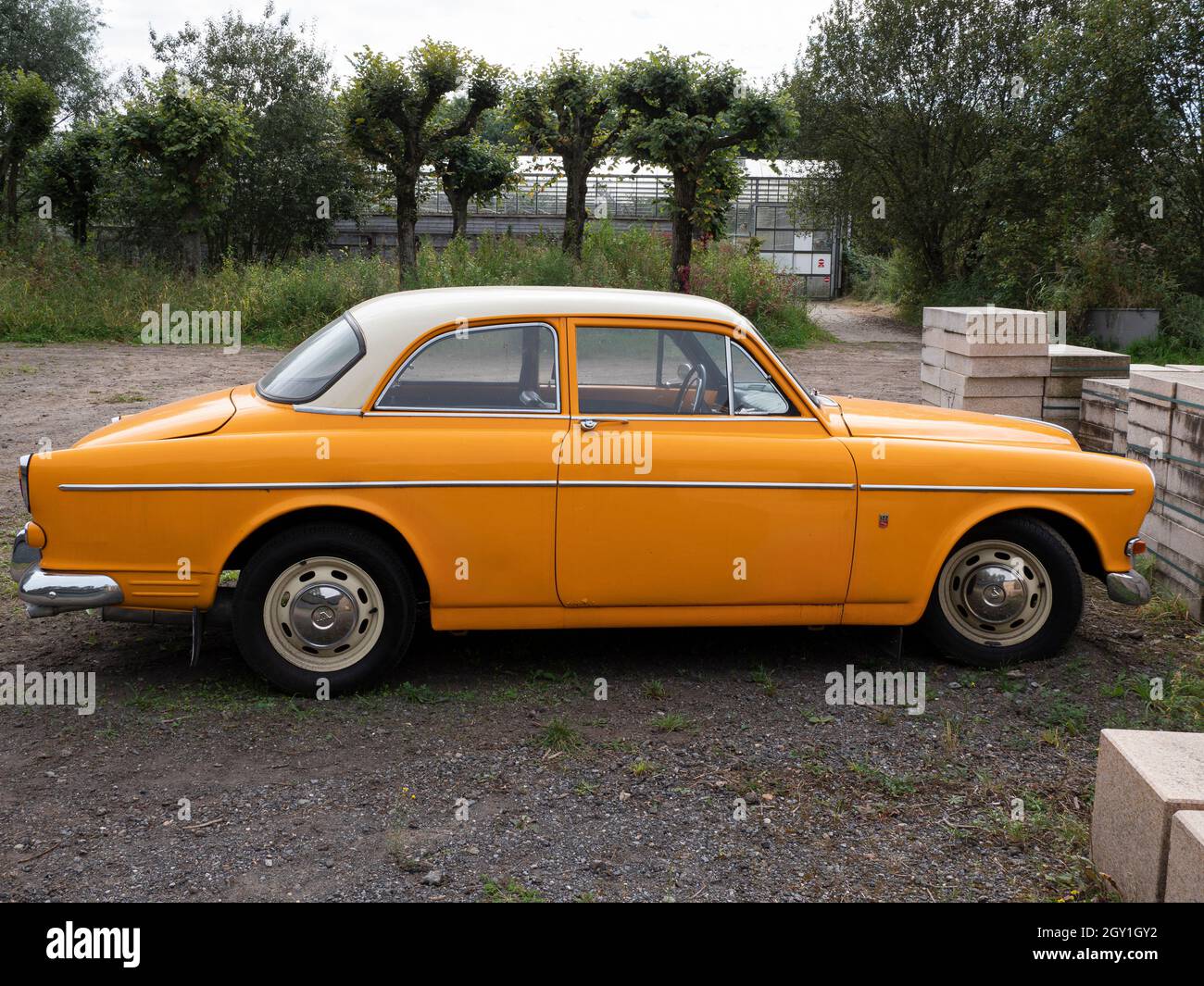 Stekene, Belgium, September 25, 2021, Side with chrome hubcaps of an orange oldtimer Volvo 122s Stock Photo