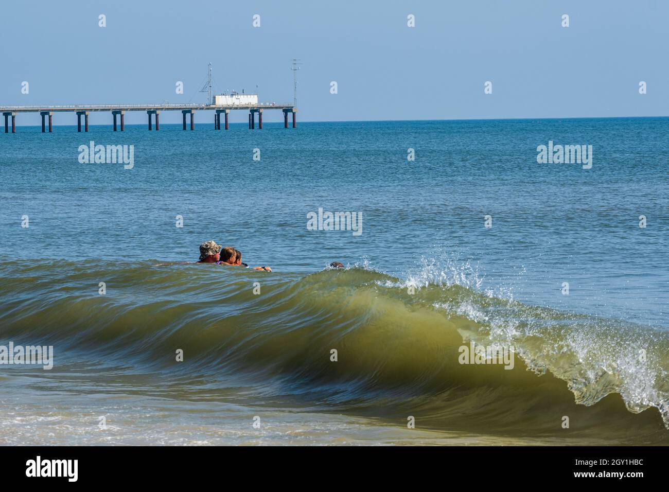 Duck nc hires stock photography and images Alamy