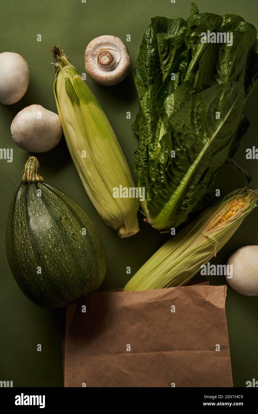 Sustainable paper products hi-res stock photography and images - Alamy