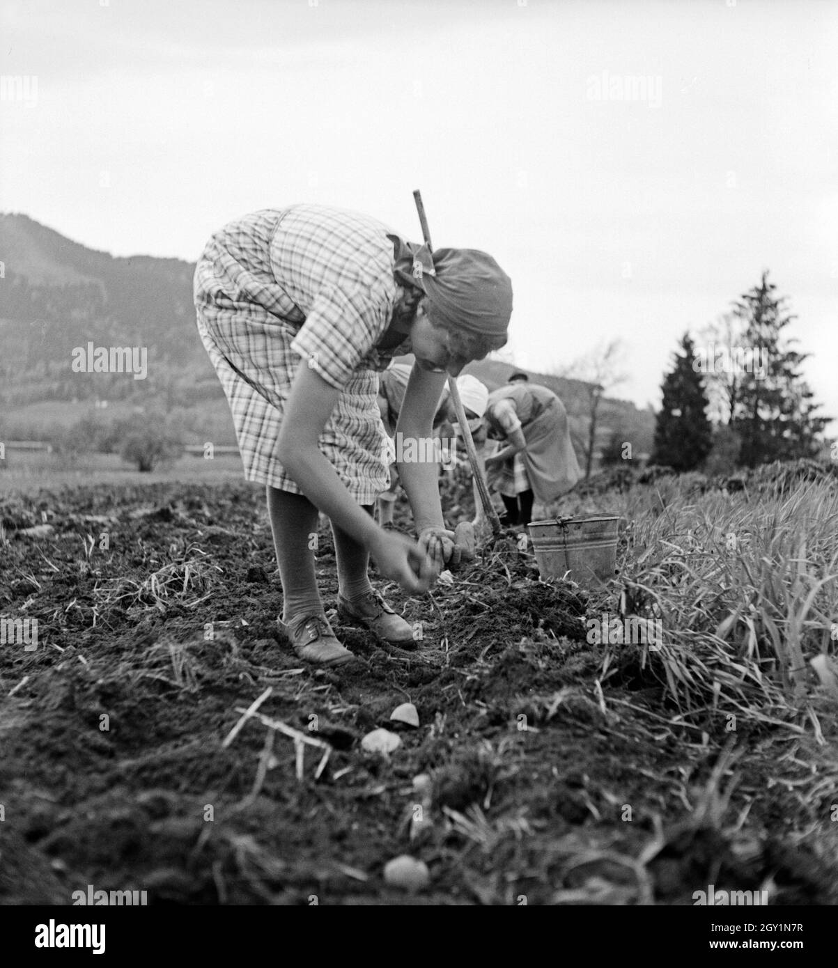 jobbörse chiemgau