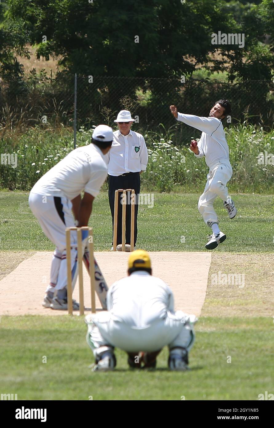 Cricket, game, sport, athletes, team Stock Photo Alamy