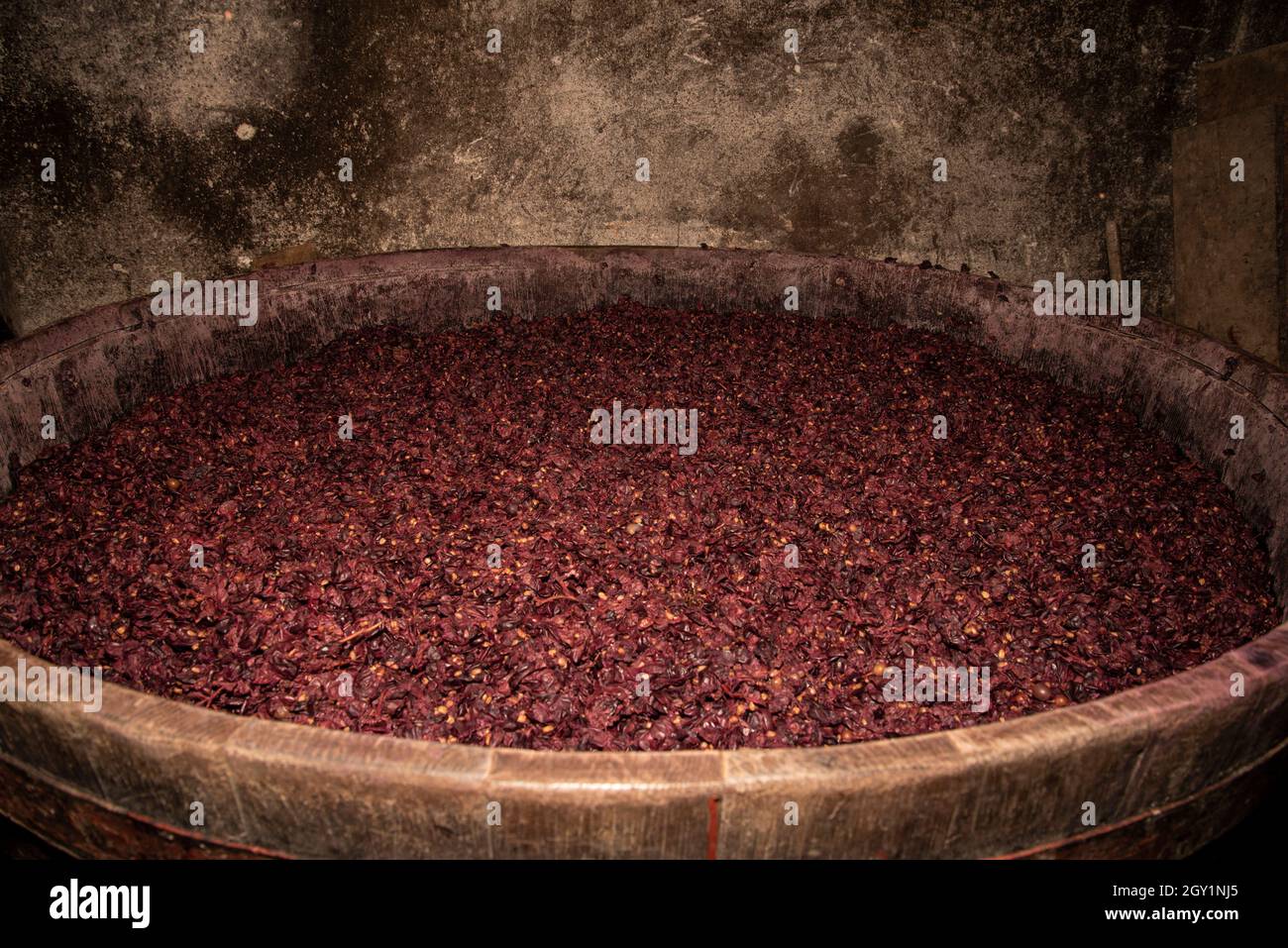Grapes fermentation in a wooden barrel.wine making process fermented