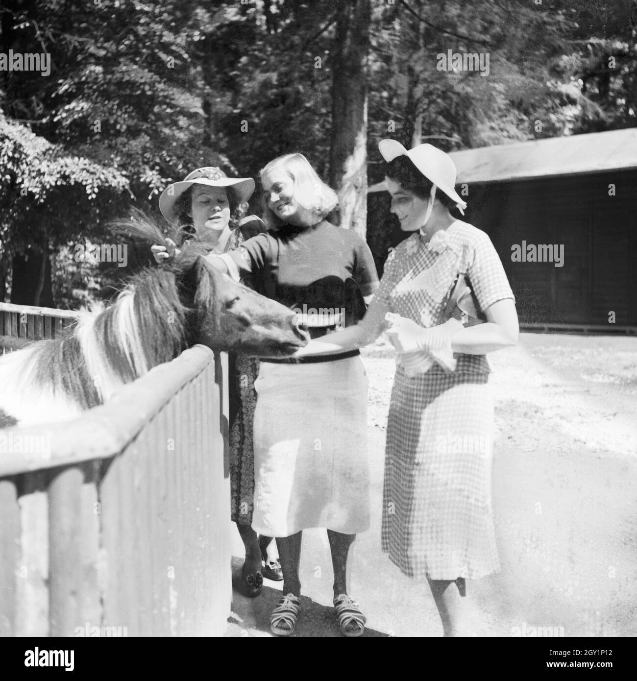 Drei junge Frauen am Ponygehege im Wilhelma Tierpark in Stuttgart, Deutschland 1930er Jahre. Three young women at the pony   compound at Wilhelma zoological gardens at Stuttgart, Germany 1930s. Stock Photo