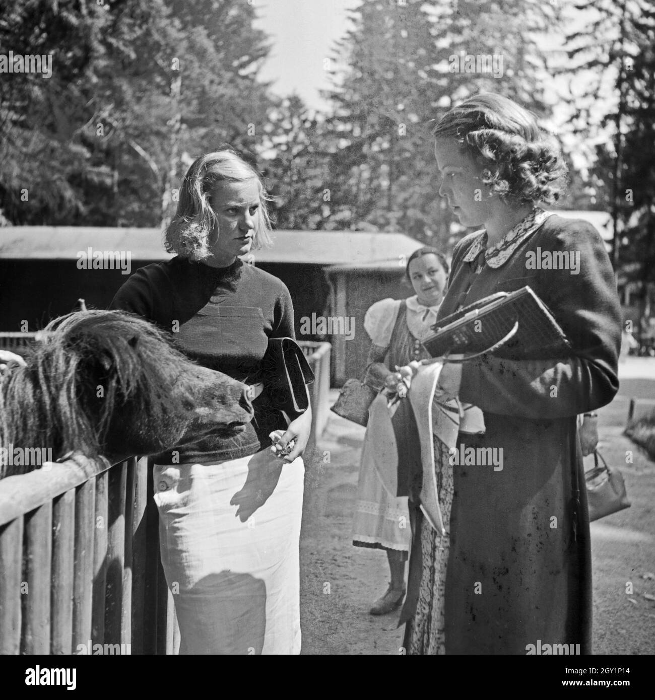 Drei junge Frauen am Ponygehege im Wilhelma Tierpark in Stuttgart, Deutschland 1930er Jahre. Three young women at the pony   compound at Wilhelma zoological gardens at Stuttgart, Germany 1930s. Stock Photo