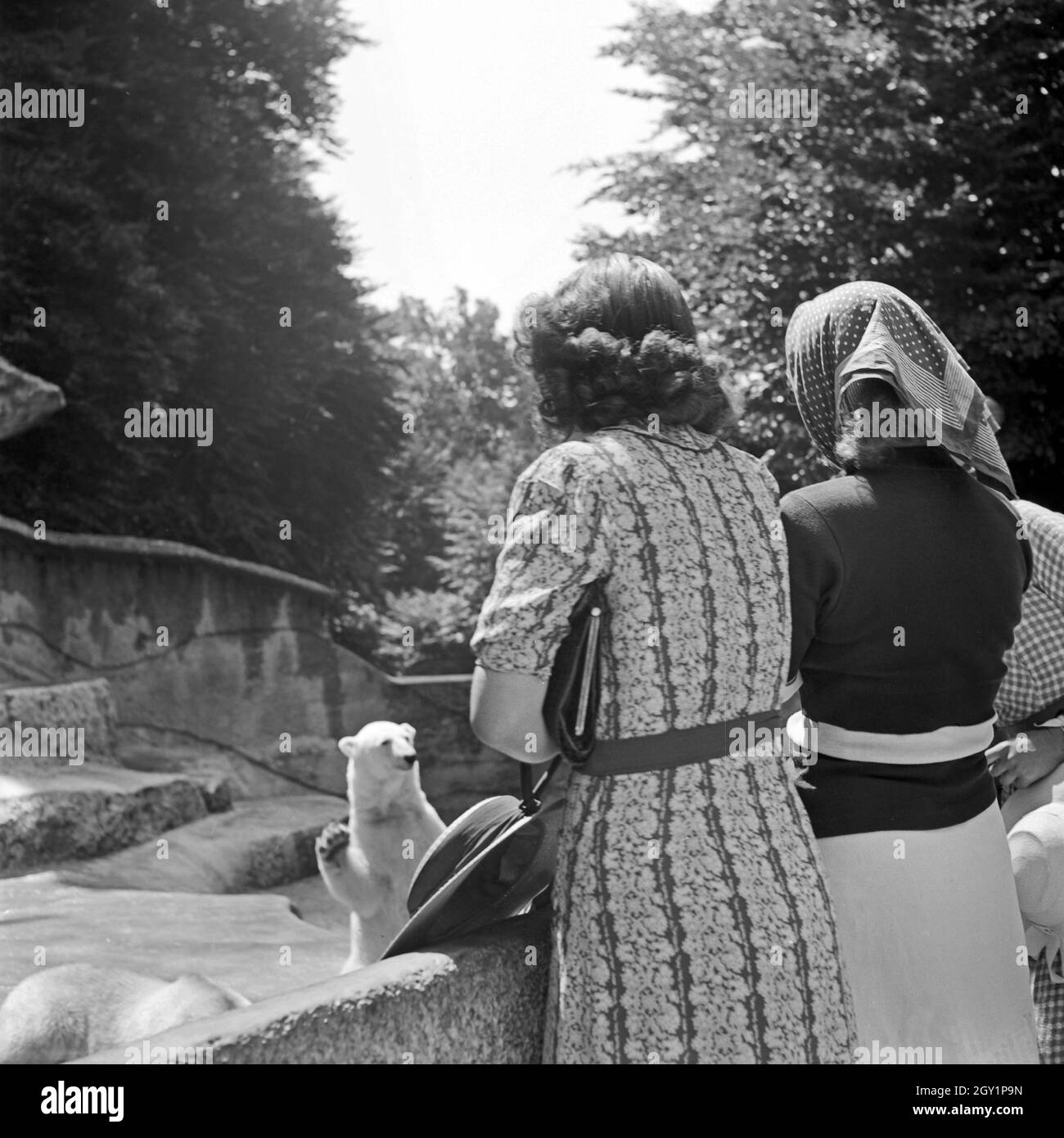 Drei junge Frauen stehen beim Zoobesuch am Eisbärgehege, Deutschland 1930er Jahre. Three young woman visiting a zoological garden and see the polar bear's compound, Germany 1930s. Stock Photo