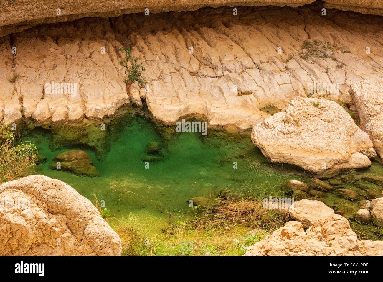 Water in the Wadi Shab Gorge in Oman Stock Photo