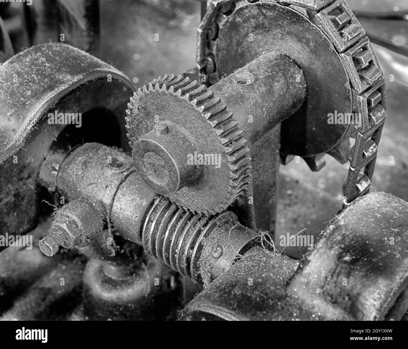 Pinon and cogs hires stock photography and images Alamy