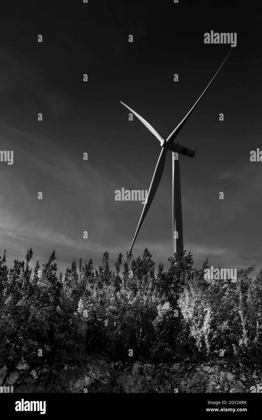 Wind turbine under dark sky, black and white image. View from the