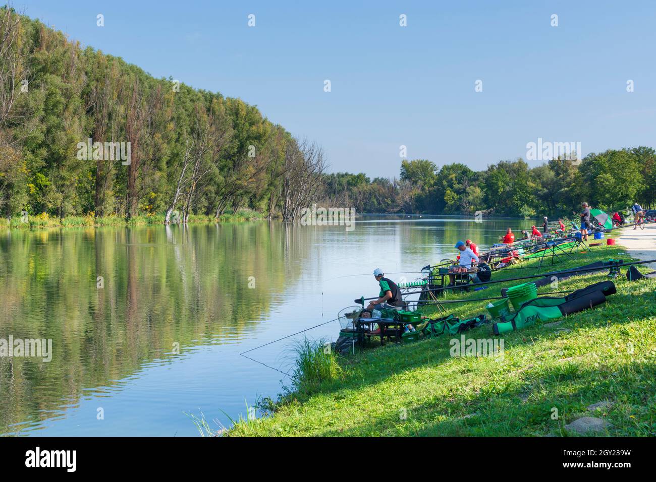 Györ (Raab): fishing competition in arm of river Mosoni Duna in , Györ-Moson-Sopron, Hungary Stock Photo