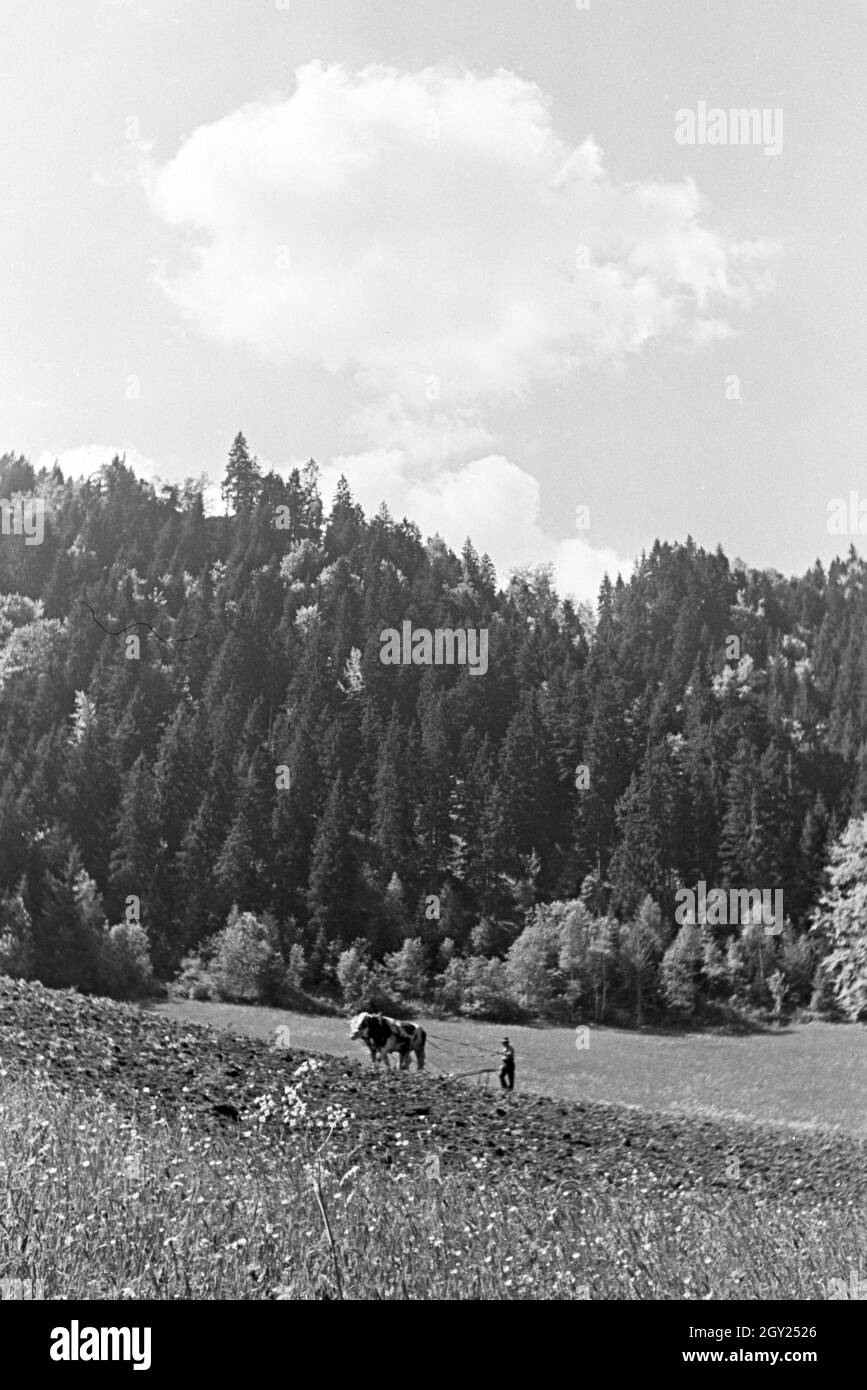 Idyllisches Schwarzwaldpanorama, Deutschland 1930er Jahre. Idyllic panoramic view of the Black Forest, Germany 1930s. Stock Photo