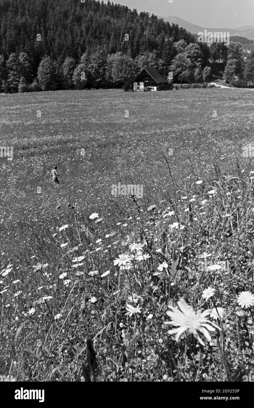 Idyllisches Schwarzwaldpanorama, Deutschland 1930er Jahre. Idyllic panoramic view of the Black Forest, Germany 1930s. Stock Photo