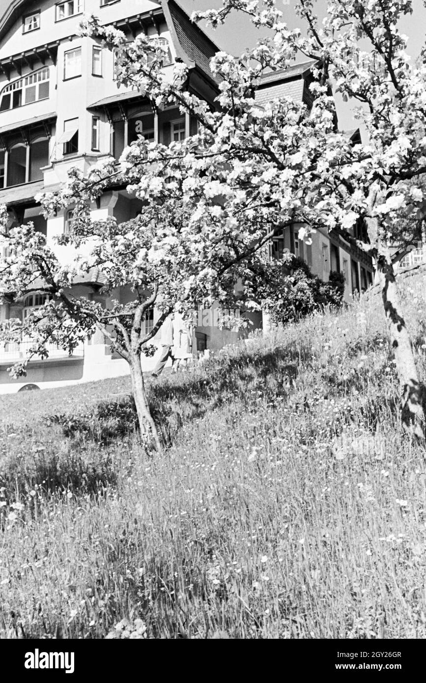 Entspannung im sonnigen Garten, Freudenstadt, Deutschland 1930er Jahre. Relaxation in the sunny garden, Freudenstadt, Germany 1930s. Stock Photo