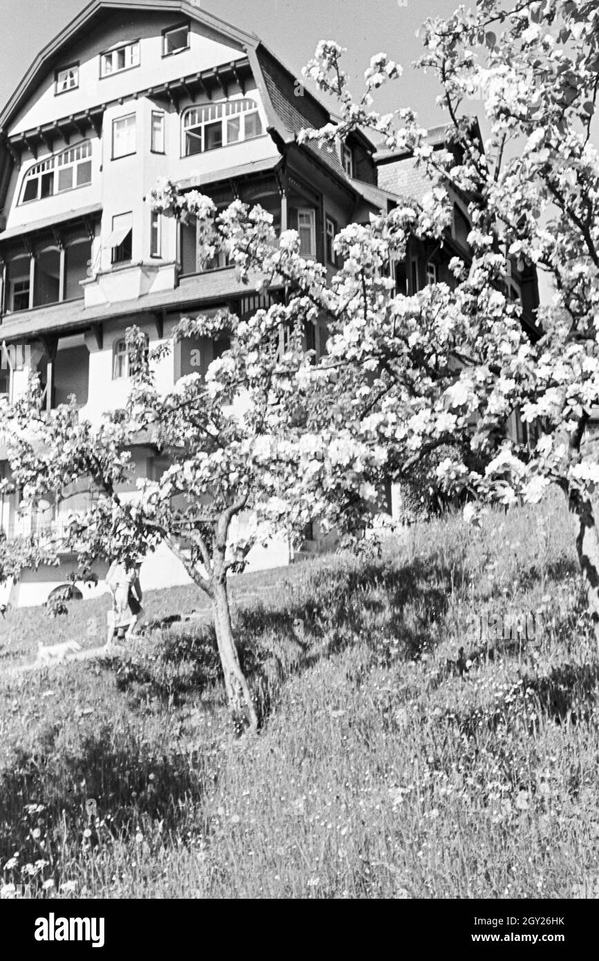 Entspannung im sonnigen Garten, Freudenstadt, Deutschland 1930er Jahre. Relaxation in the sunny garden, Freudenstadt, Germany 1930s. Stock Photo