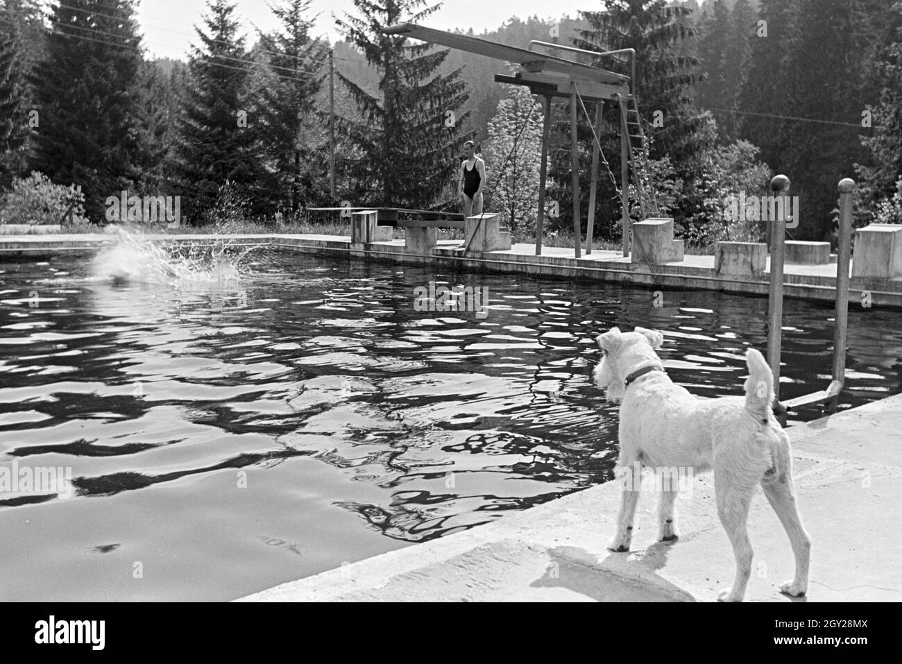 Im Schwimmbad im Luftkurort Altensteig im Schwarzwald, Deutschland 1930er Jahre. In the swimming pool in the climatic spa Altensteig in the Black Forest, Germany 1930s. Stock Photo