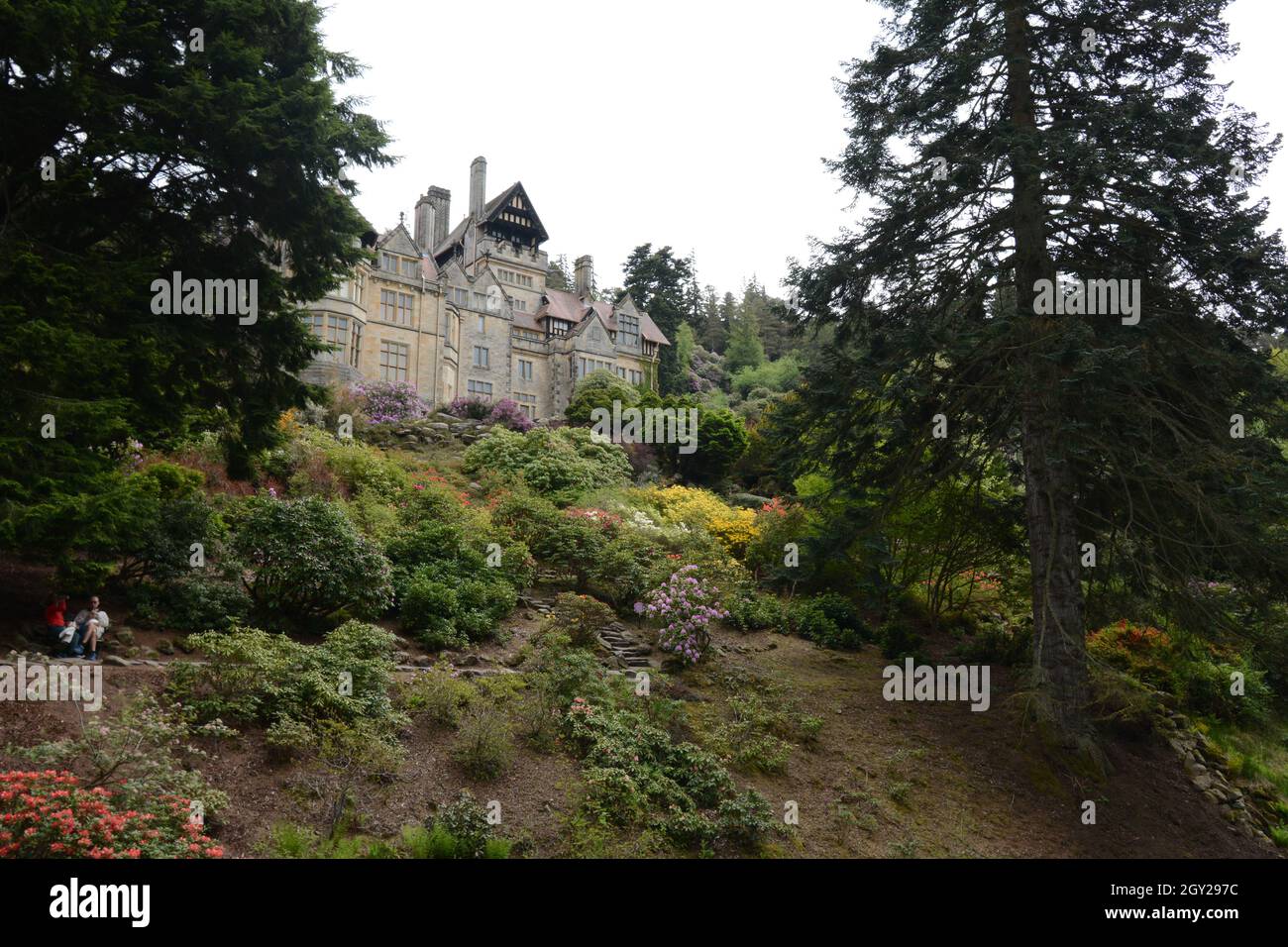 Cragside house Northumberland National Trust UK trees tree hill hills ...