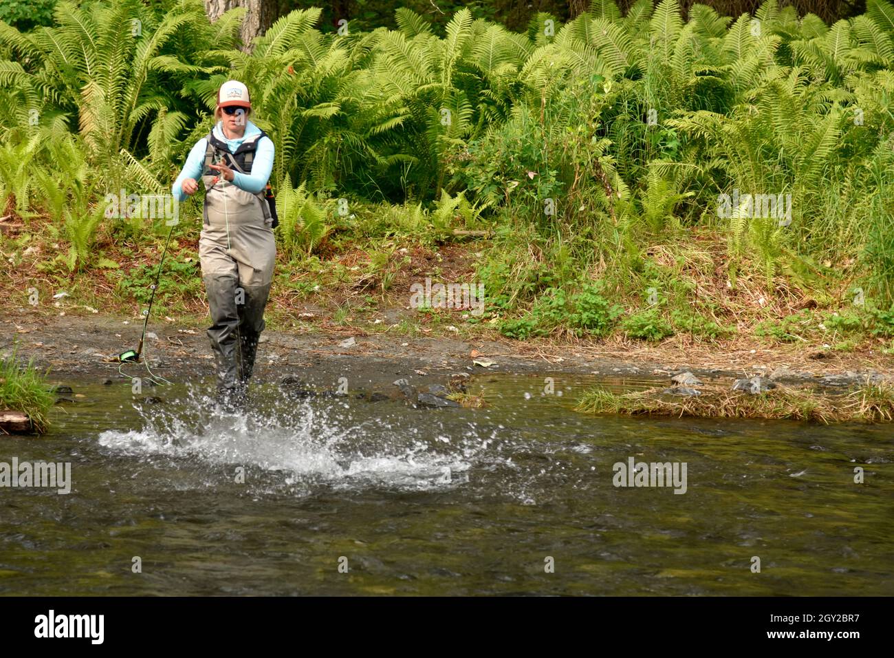 Recreational flyfishing during the sockeye salmon run, Russian River