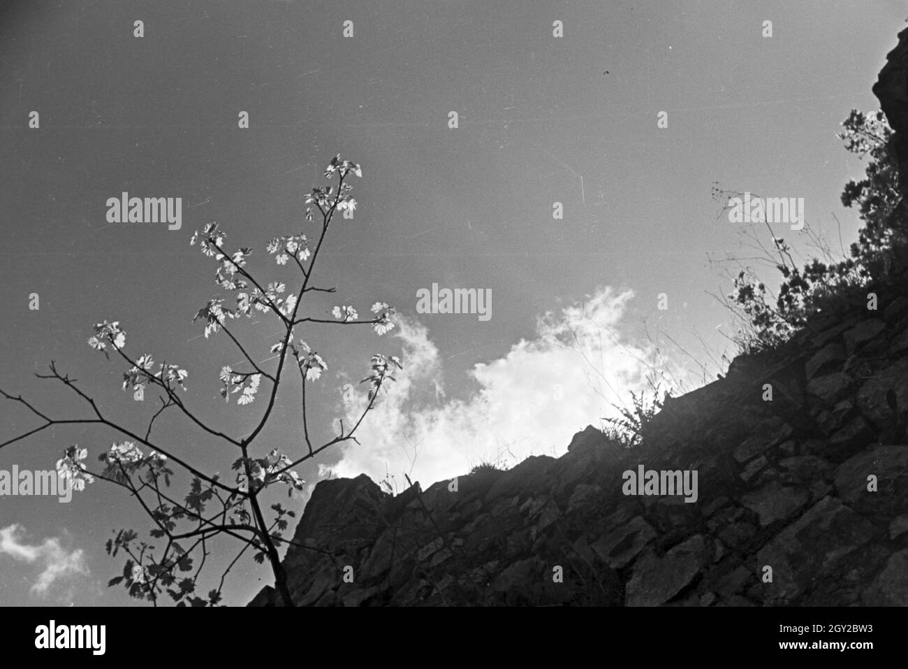 Ein Ausflug zum Auerbacher Schloss, Deutsches Reich 1930er Jahre. An excursion to the Auerbach castle, Germany 1930s. Stock Photo