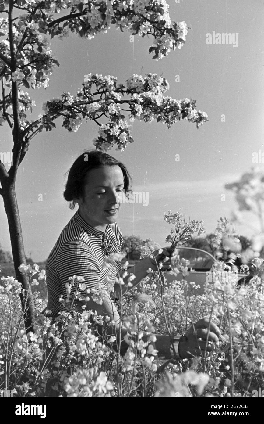 Ein Ausflug zum Auerbacher Schloss, Deutsches Reich 1930er Jahre. An excursion to the Auerbach castle, Germany 1930s. Stock Photo