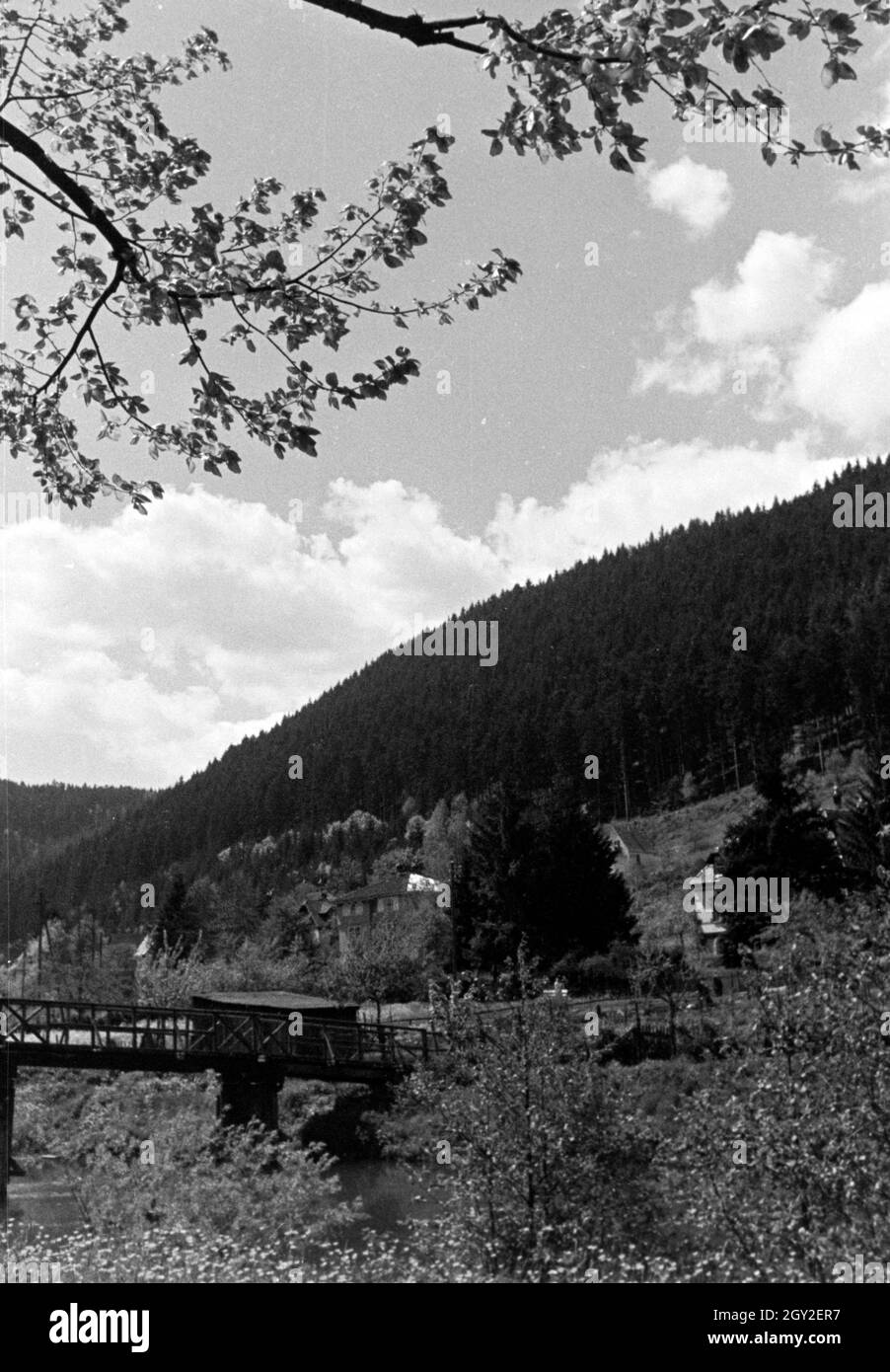 Ein Ausflug nach Hirsau, Schwarzwald, Deutsches Reich 1930er Jahre. A trip to Hirsau, Black Forest, Germany 1930s. Stock Photo