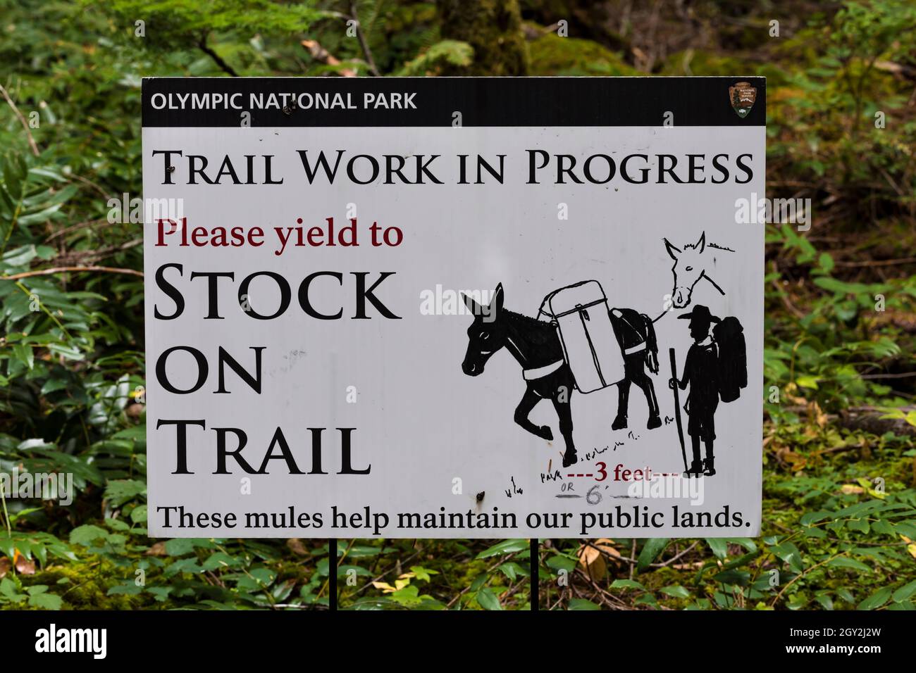 Sign for Mules doing trail work at Staircase in Olympic National Park, Washington State, USA Stock Photo