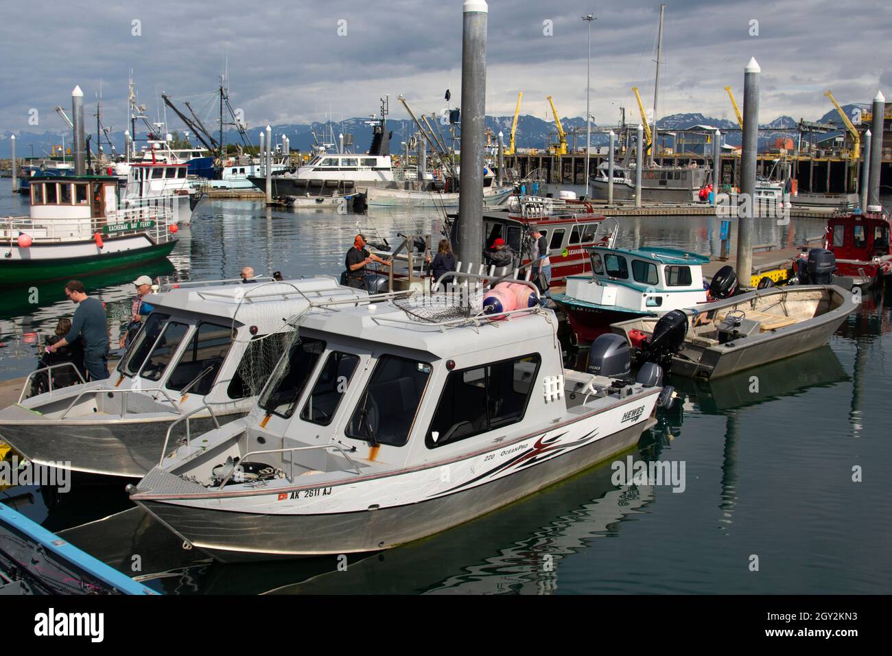 Boats docked at the Homer Harbor, Homer, Alaska, USA Stock Photo