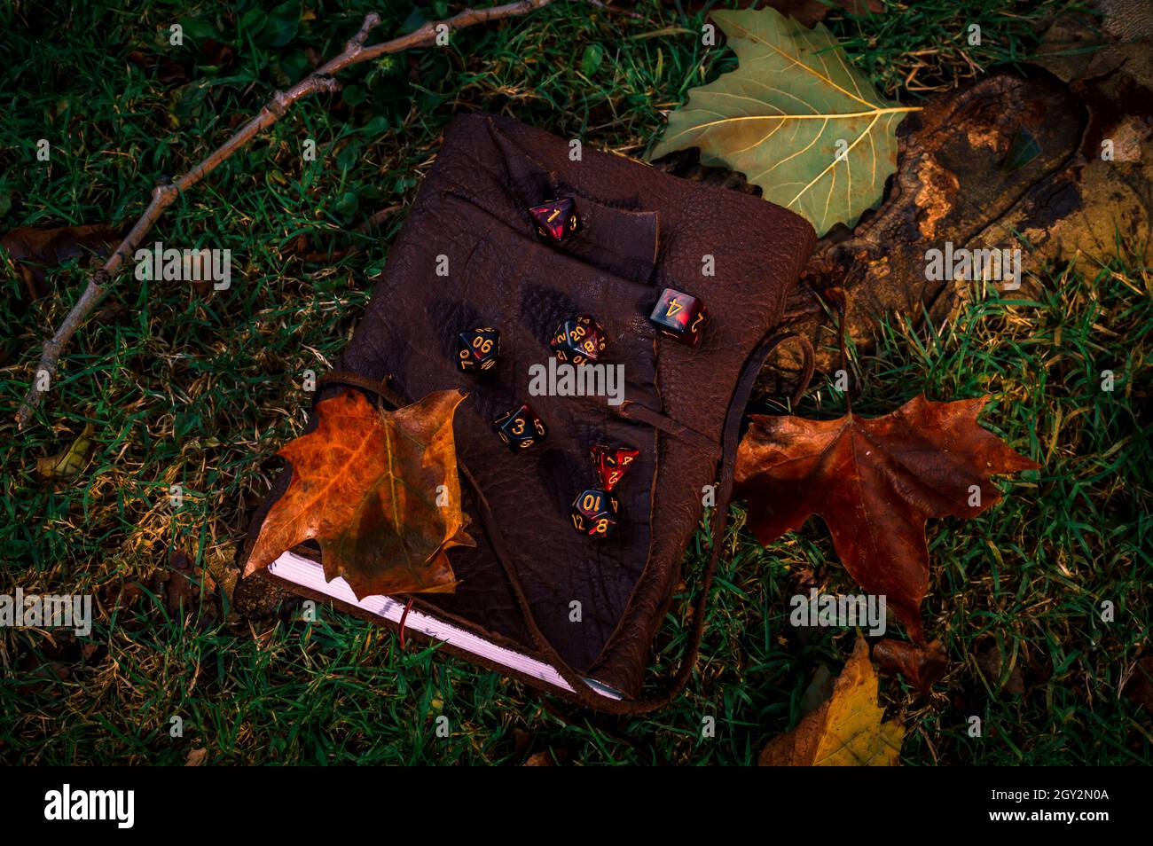 Overhead image of a set of a set of RPG dice on a leather-bound book with autumn leaves on the grass Stock Photo